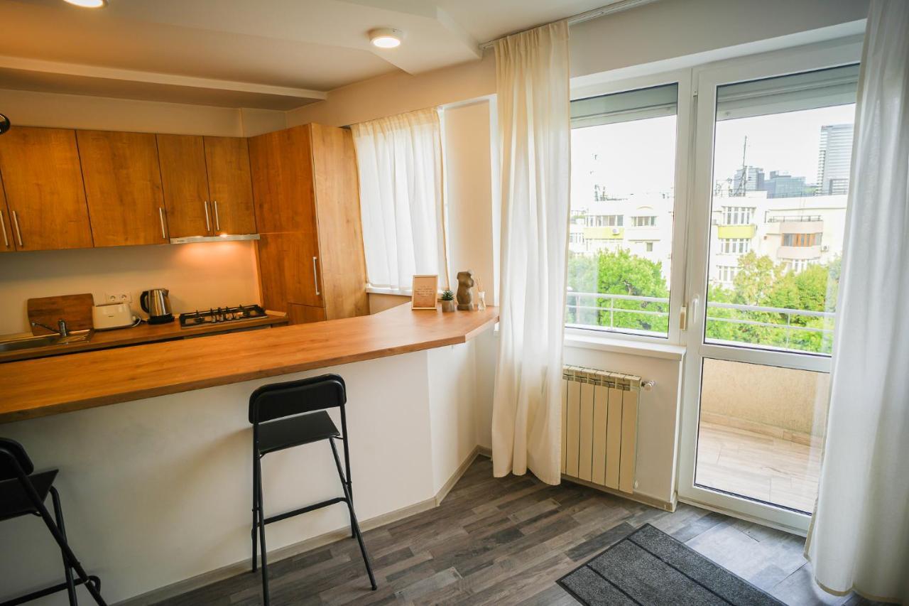 בוקרשט Penthouse With Huge Rooftop & Amazing City View מראה חיצוני תמונה