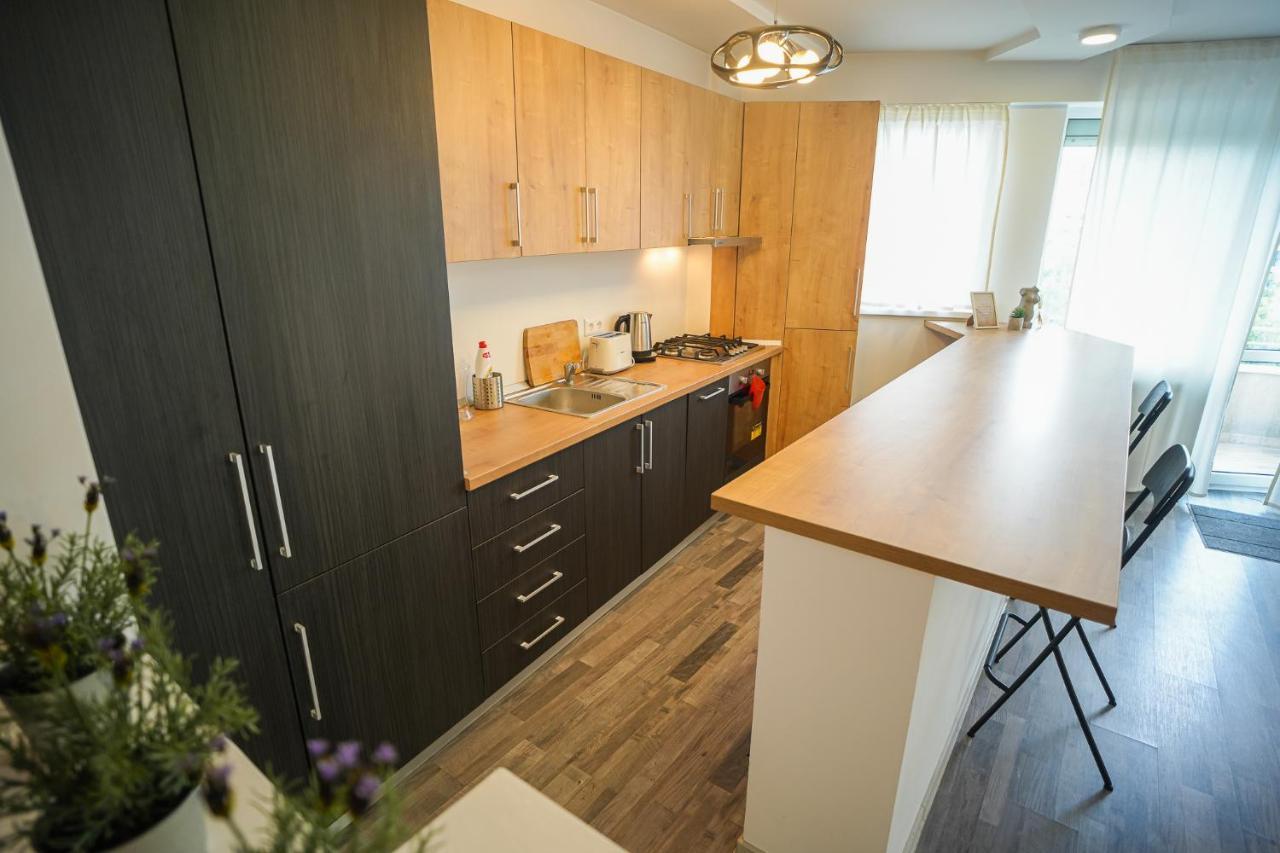 בוקרשט Penthouse With Huge Rooftop & Amazing City View מראה חיצוני תמונה